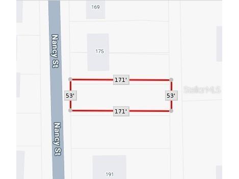 Nancy Street Oak Hill FL 32759 O6322722 image2