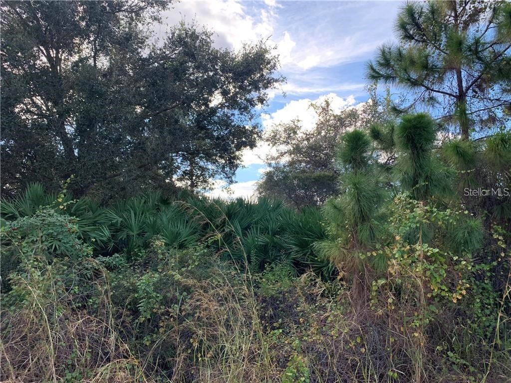 Napoleon Road North Port FL 34288 C7472539 image1