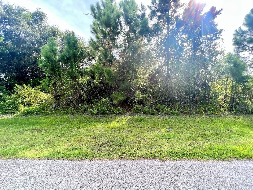 Napoleon Road North Port FL 34288 C7507574 image1