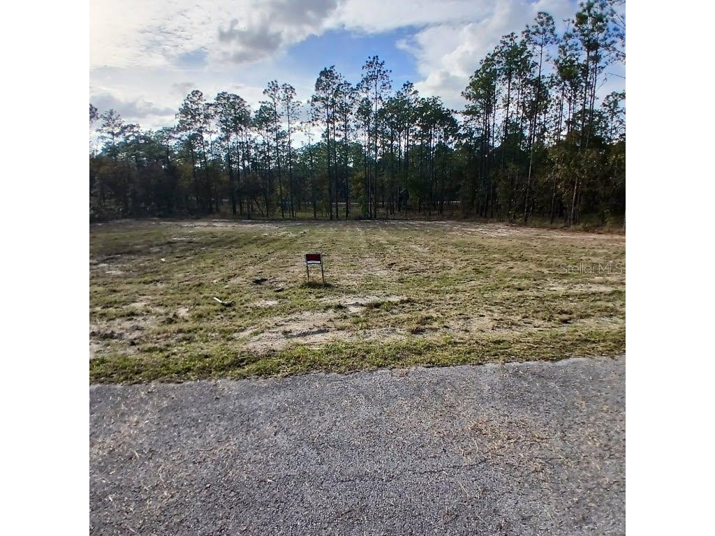 Narcissus Dunnellon FL 34431 O6343589 image3