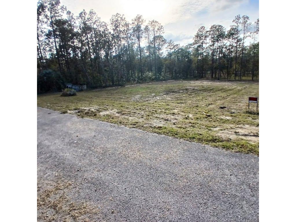 Narcissus Dunnellon FL 34431 O6343589 image4