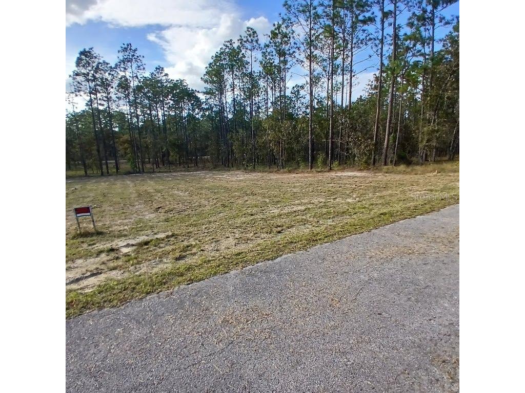 Narcissus Dunnellon FL 34431 O6343975 image4