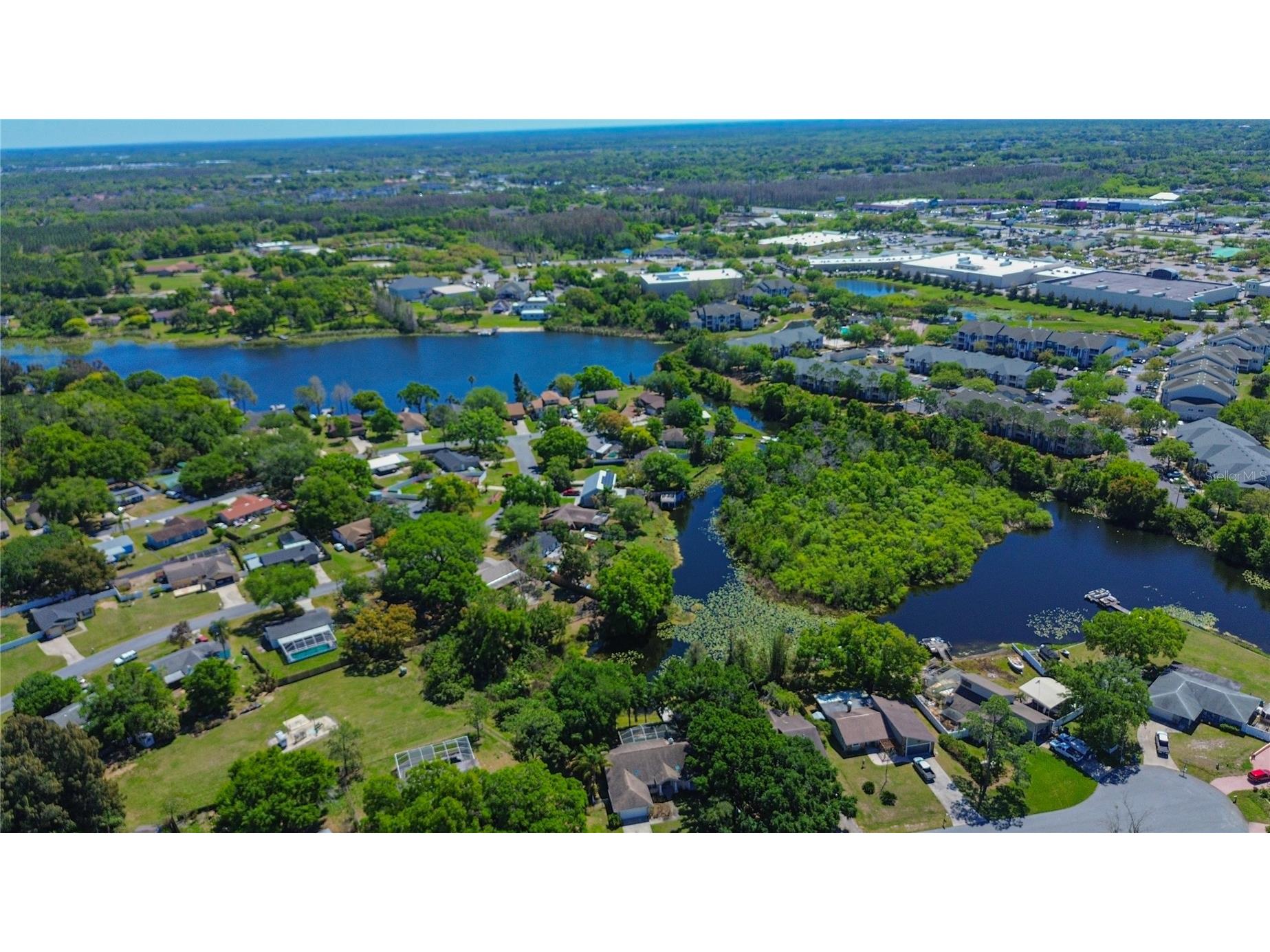 Natalie Court Land O Lakes FL 34639 TB8487445 image16
