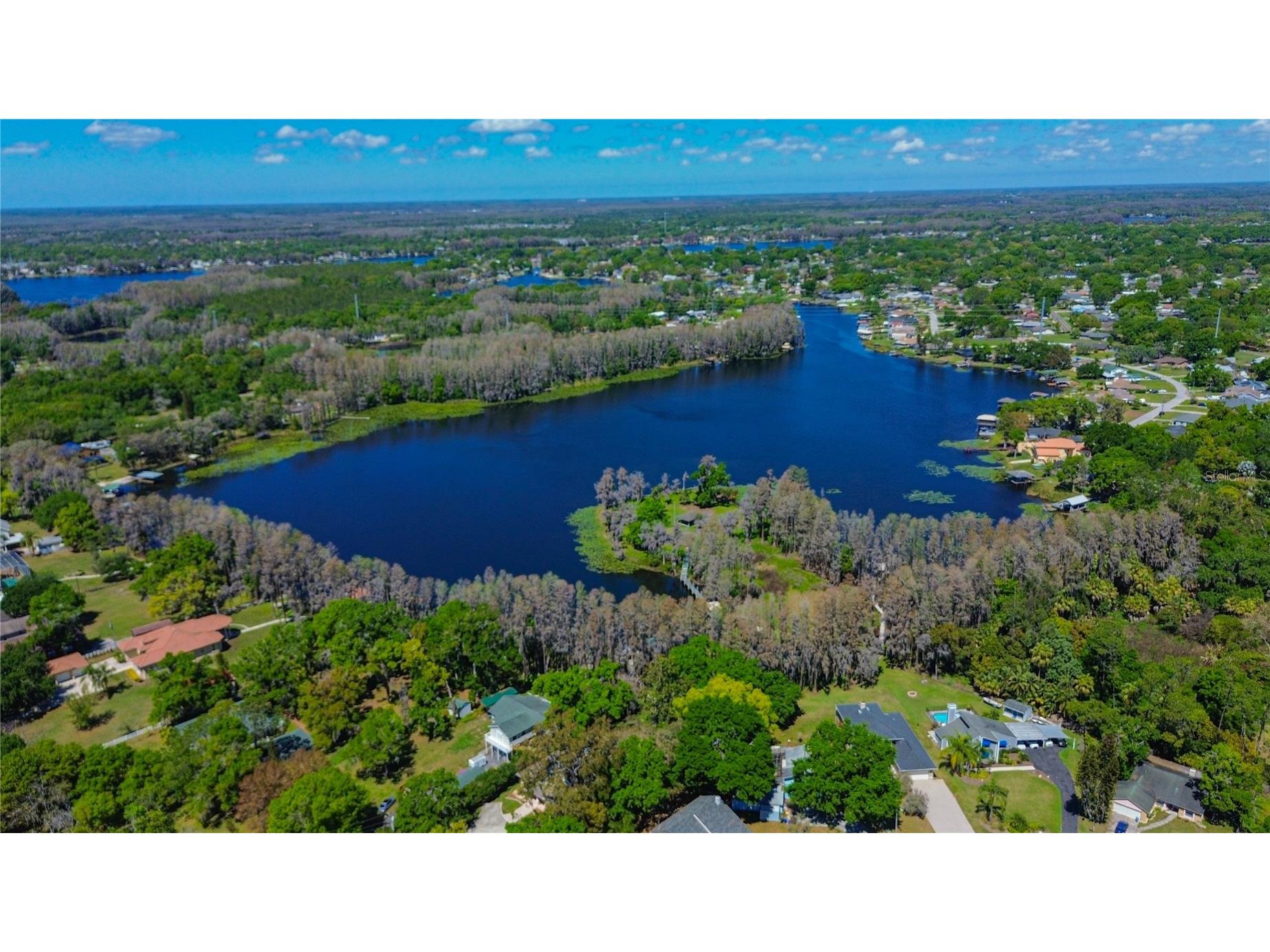Natalie Court Land O Lakes FL 34639 TB8487445 image17
