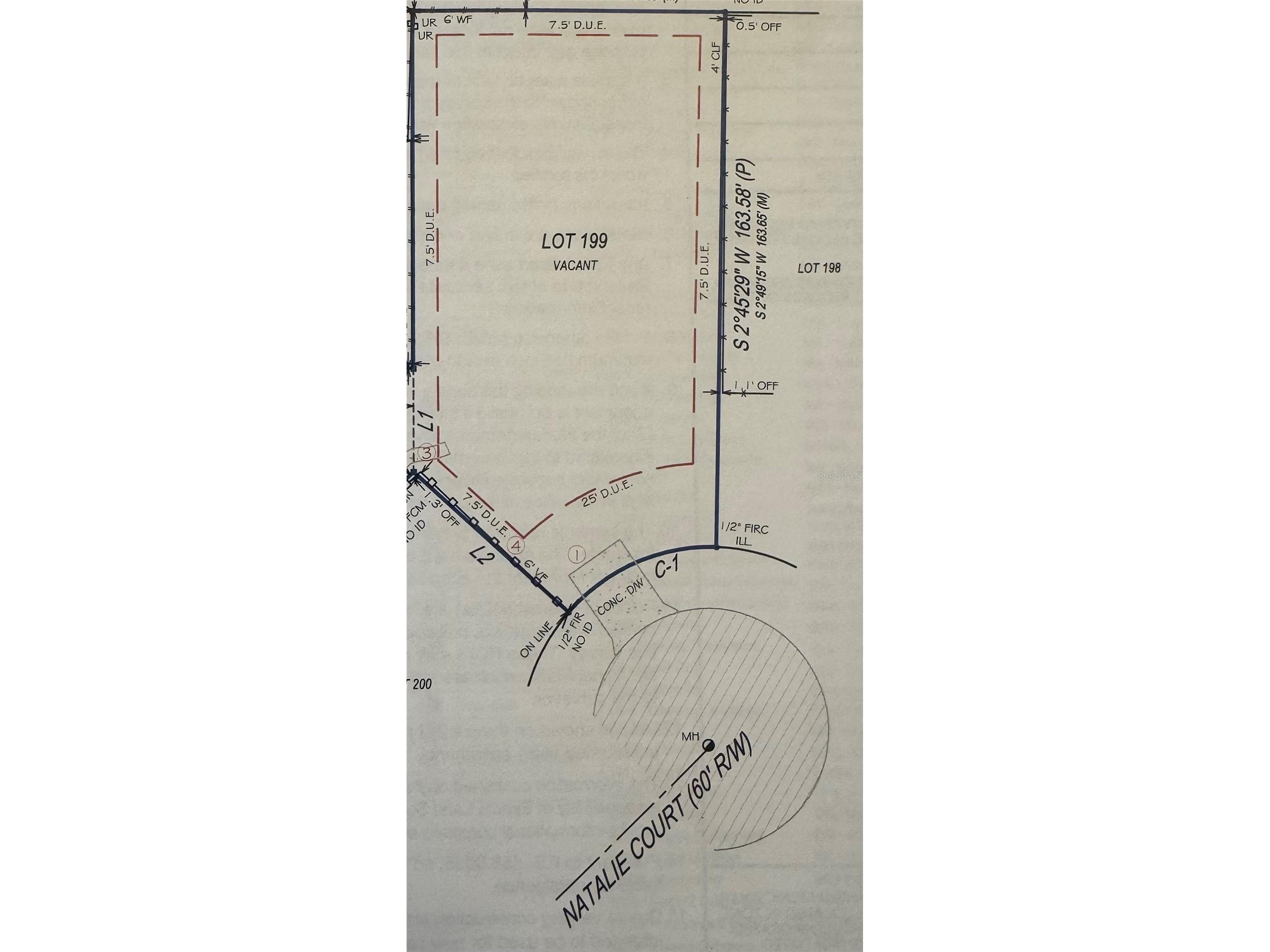 Natalie Court Land O Lakes FL 34639 TB8487445 image18