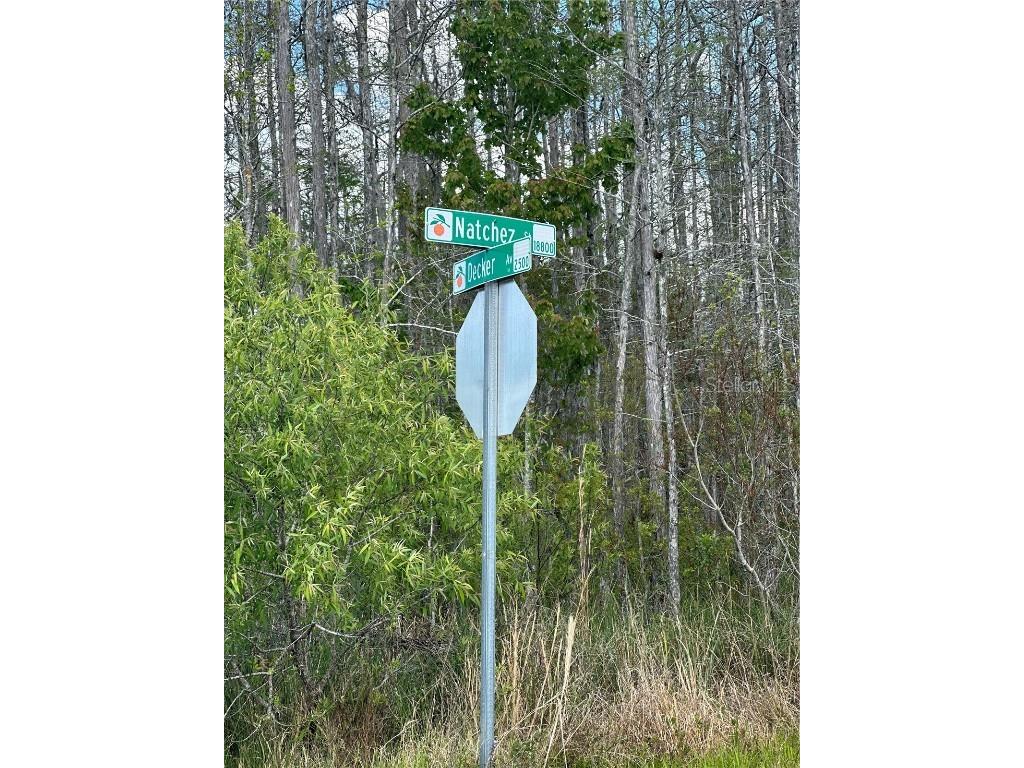 Natchez Street Orlando FL 32833 P4929570 image13