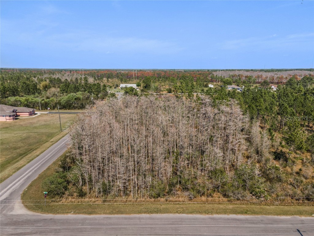 Natchez Street Orlando FL 32833 O6336792 image1