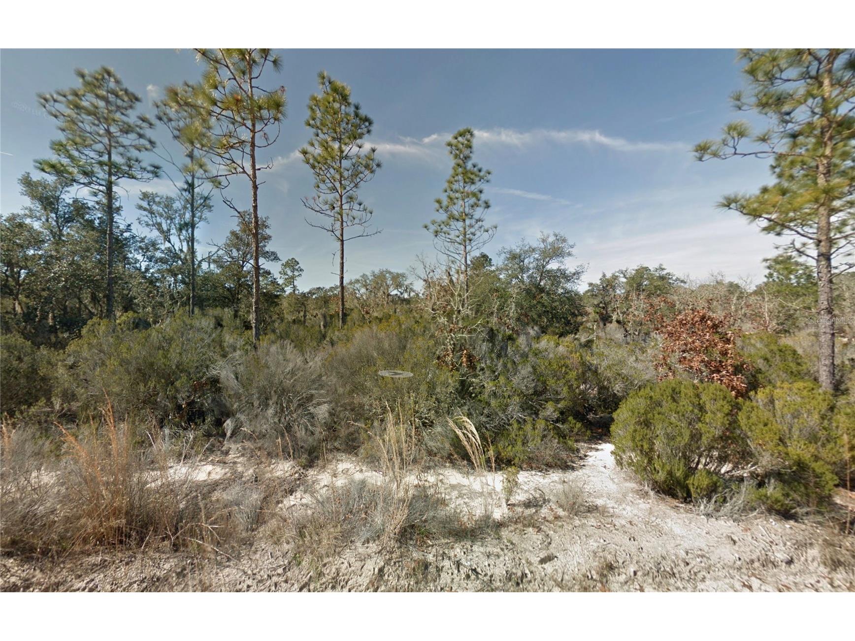 NE 100th Avenue Bronson FL 32621 OM721954 image1