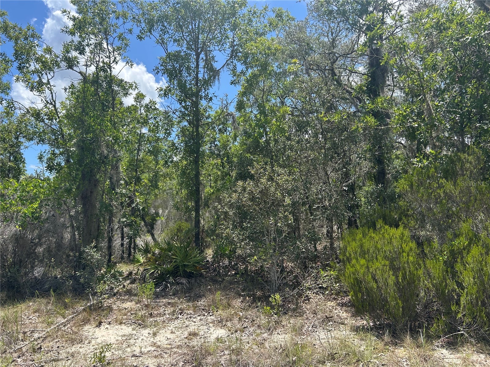 NE 101st Terrace Archer FL 32618 GC541432 image1