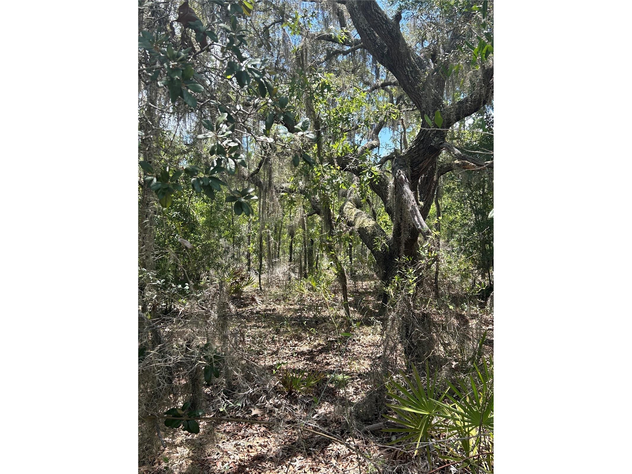 NE 101st Terrace Archer FL 32618 GC541432 image4
