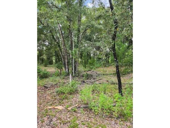 NE 102nd Avenue #LOT B Archer FL 32618 OM645712 image1