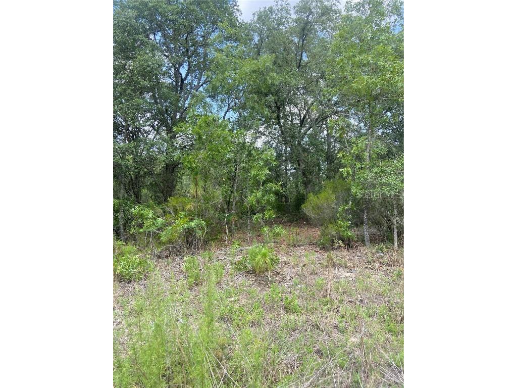 Ne 102nd Ct Bronson FL 32621 GC514078 image1