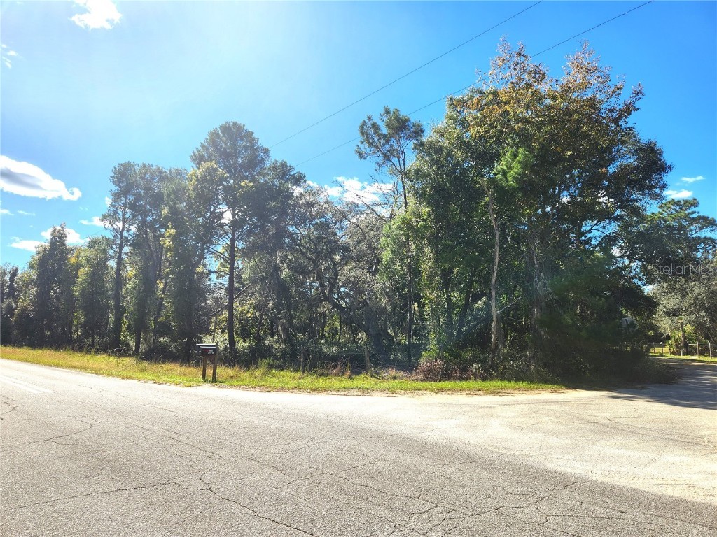 NE 103 Court Road Fort Mc Coy FL 32134 OM666505 image1