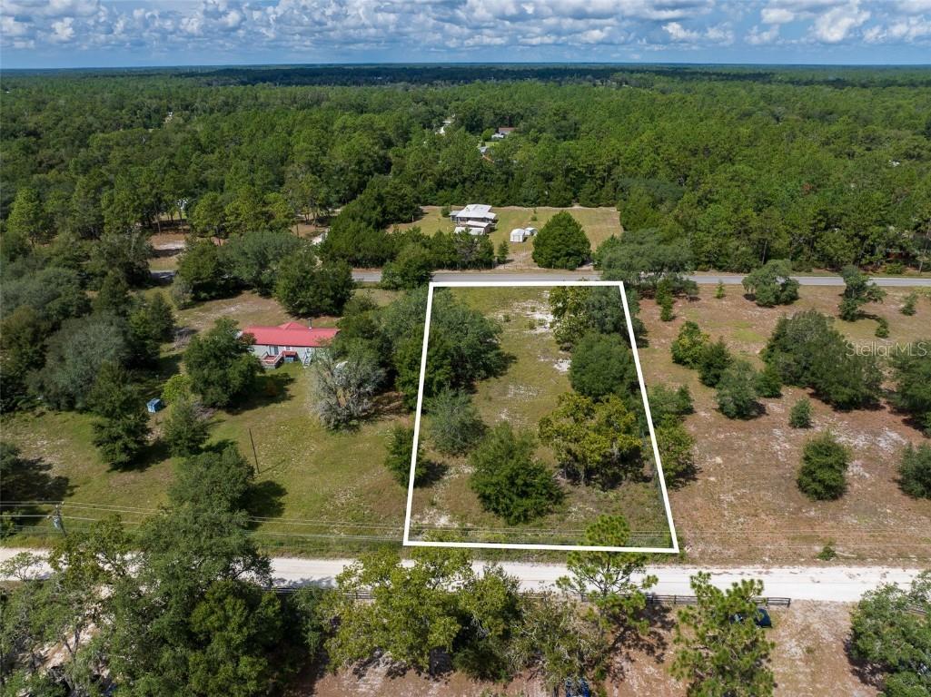NE 104th Court Bronson FL 32621 S5111506 image1