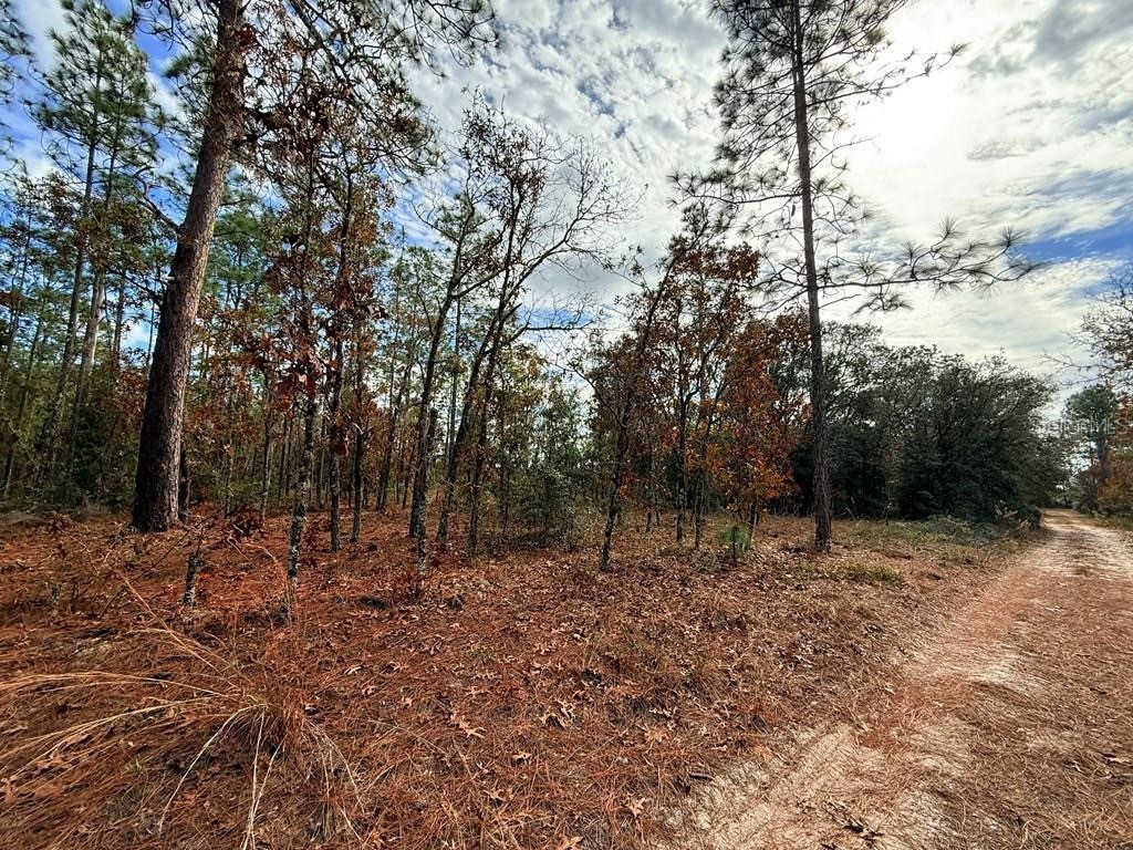 NE 104th Court Bronson FL 32621 GC527539 image1