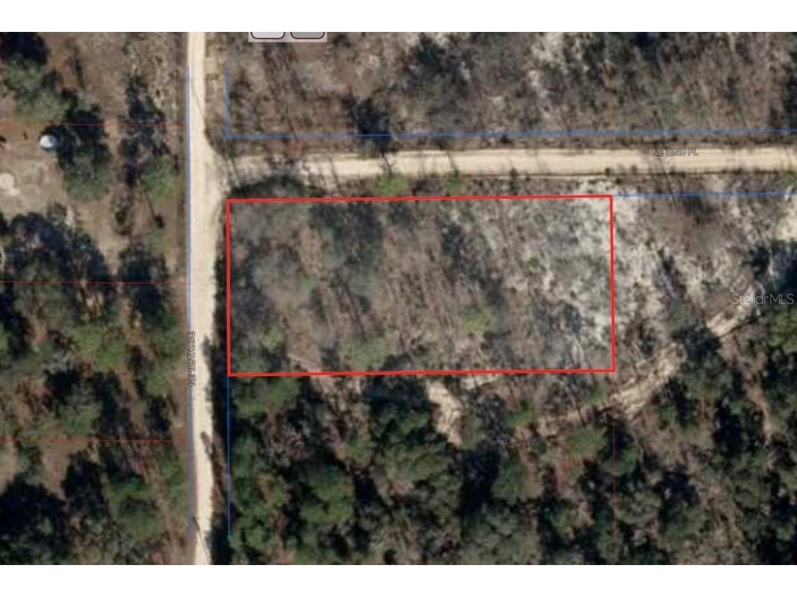 NE 105th Avenue Bronson FL 32621 TB8402616 image1