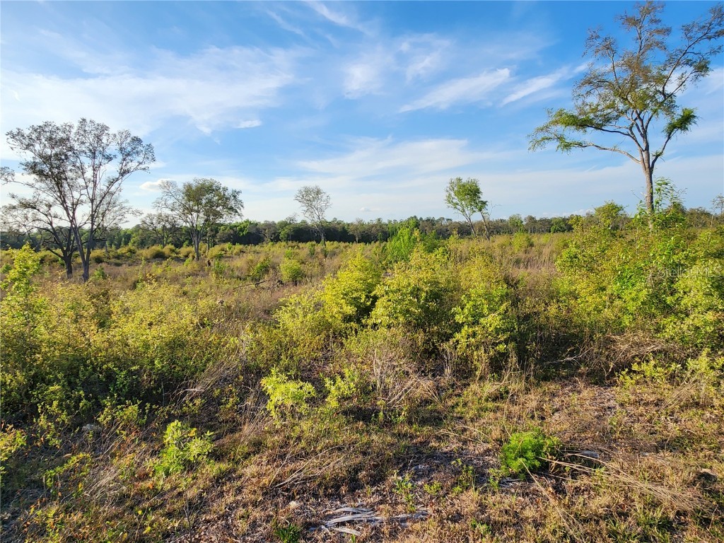 NE 106 Terrace Bronson FL 32621 G5066972 image1