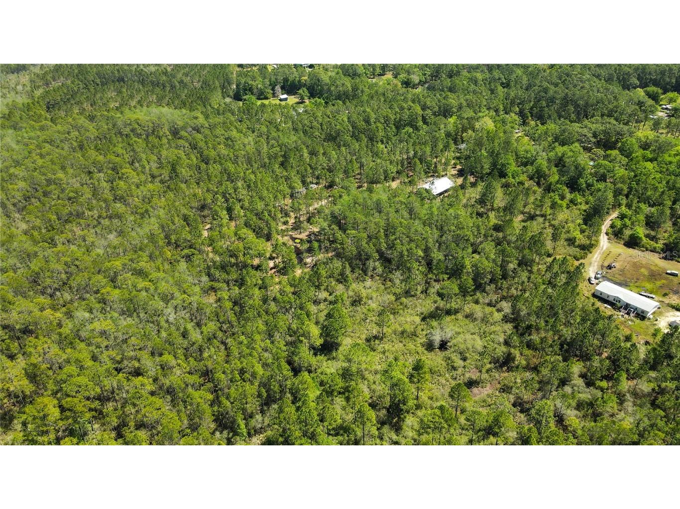 NE 108th Avenue Waldo FL 32694 GC522398 image10