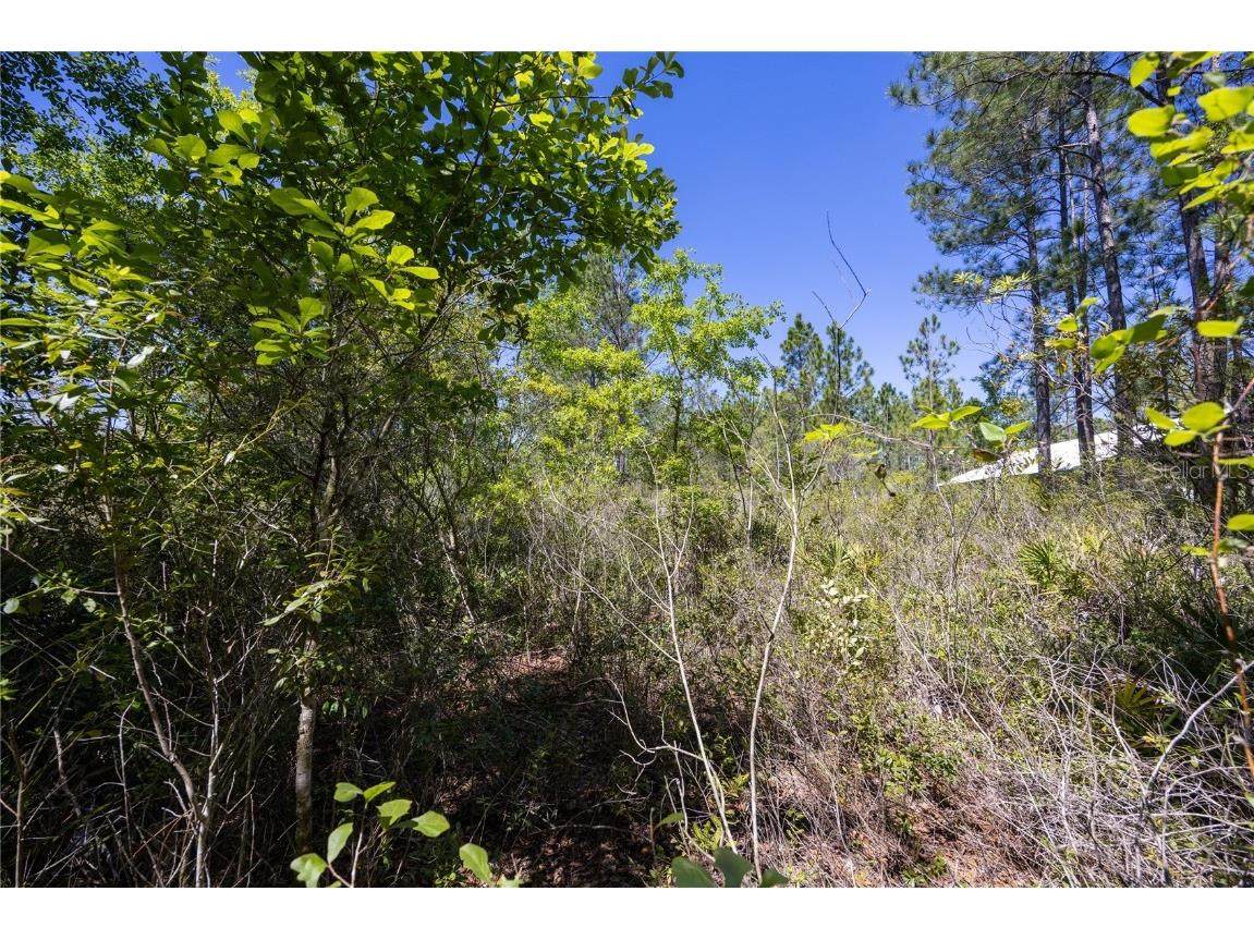 NE 108th Avenue Waldo FL 32694 GC522398 image3