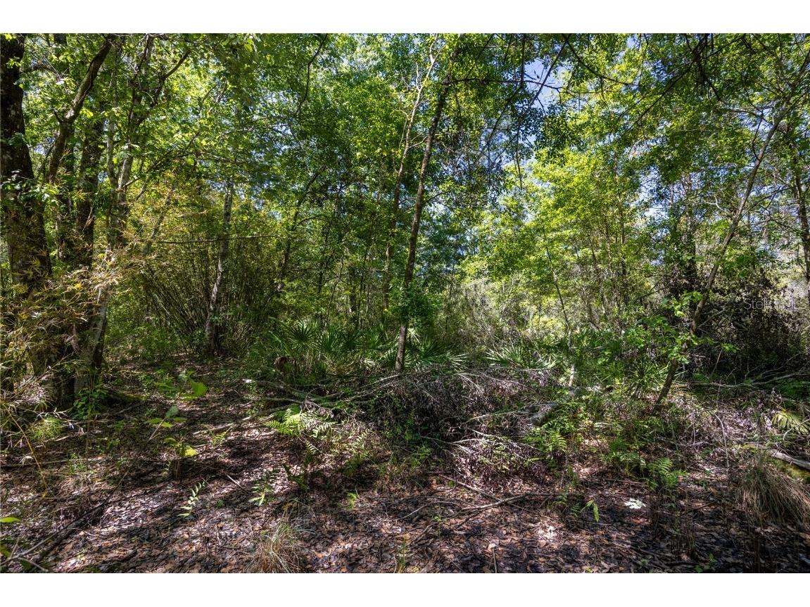 NE 108th Avenue Waldo FL 32694 GC522398 image5