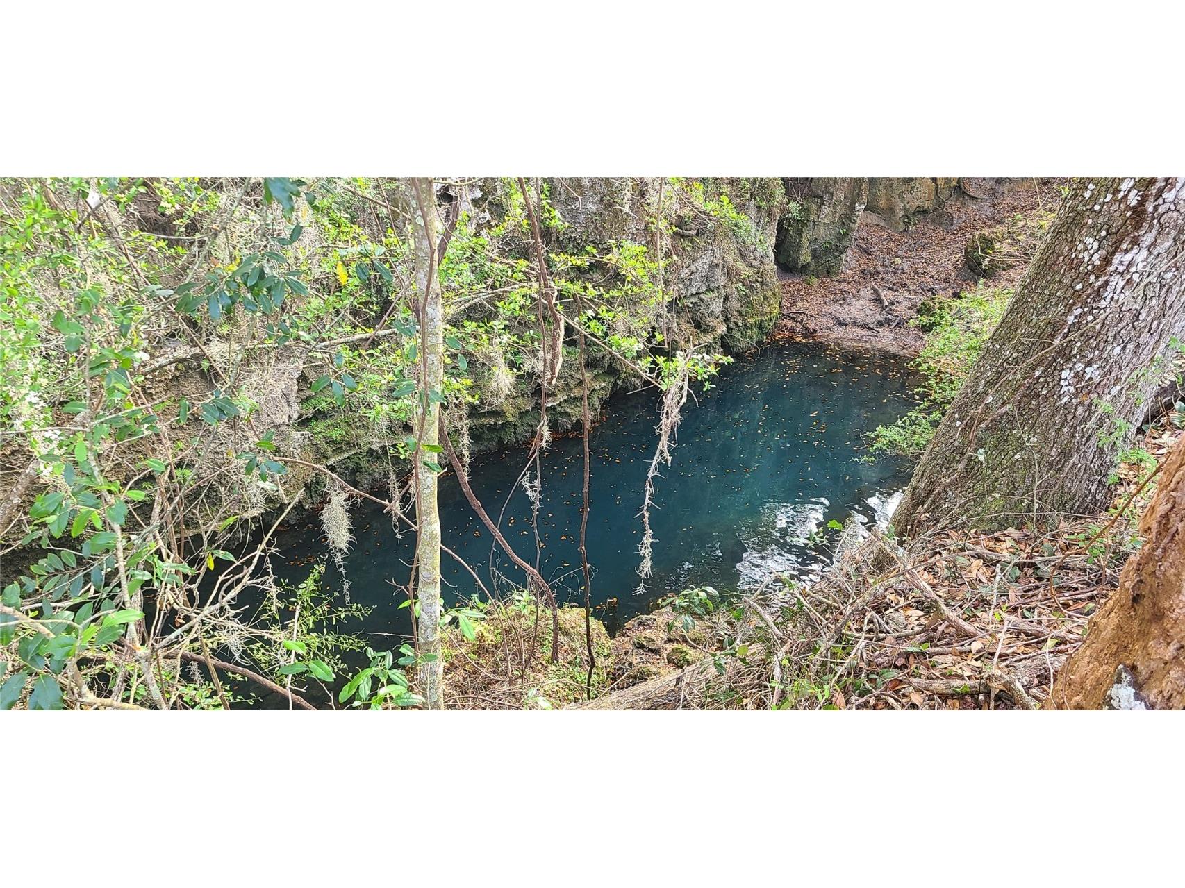 NE 10th Street Williston FL 32696 OM656649 image1