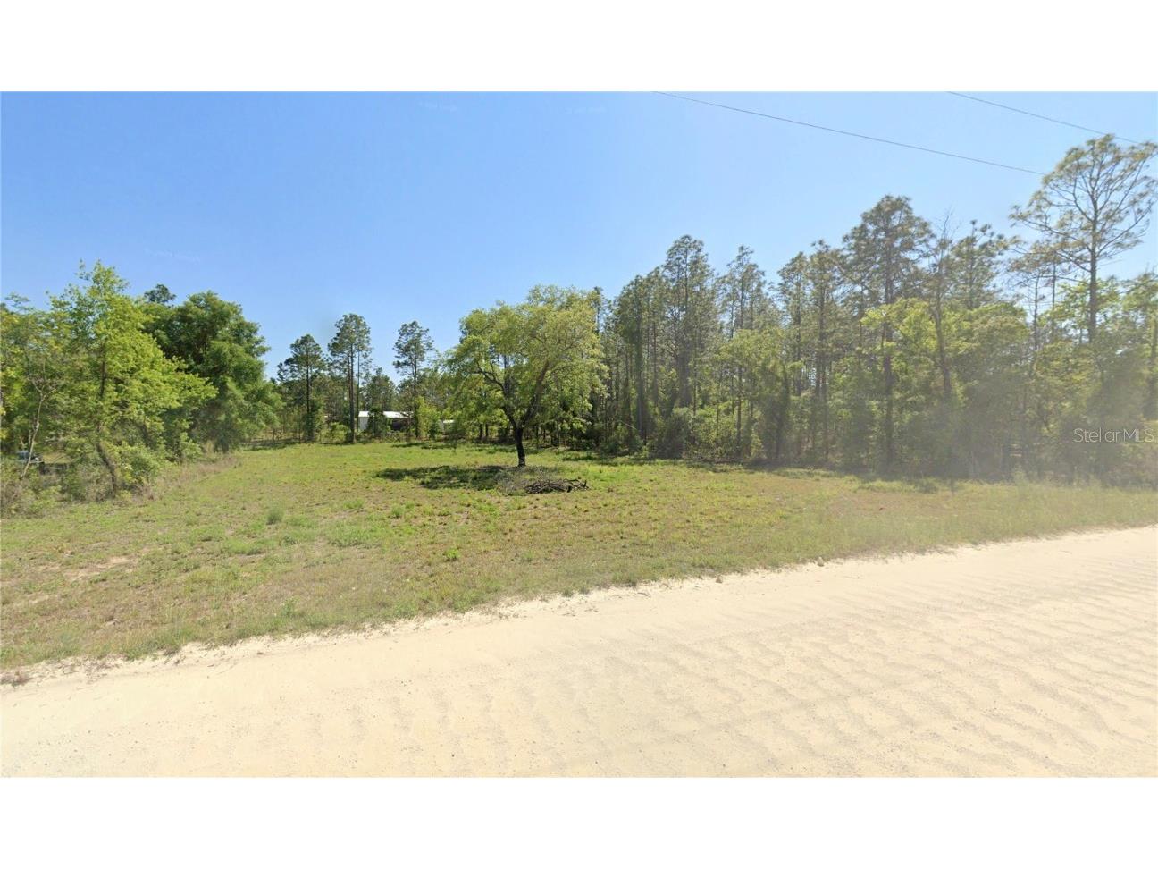 NE 10th Street Williston FL 32696 O6331061 image1