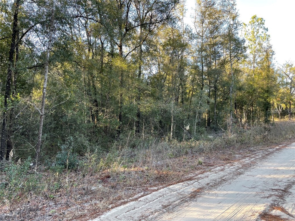 NE 110th Ave Bronson FL 32621 GC527509 image1