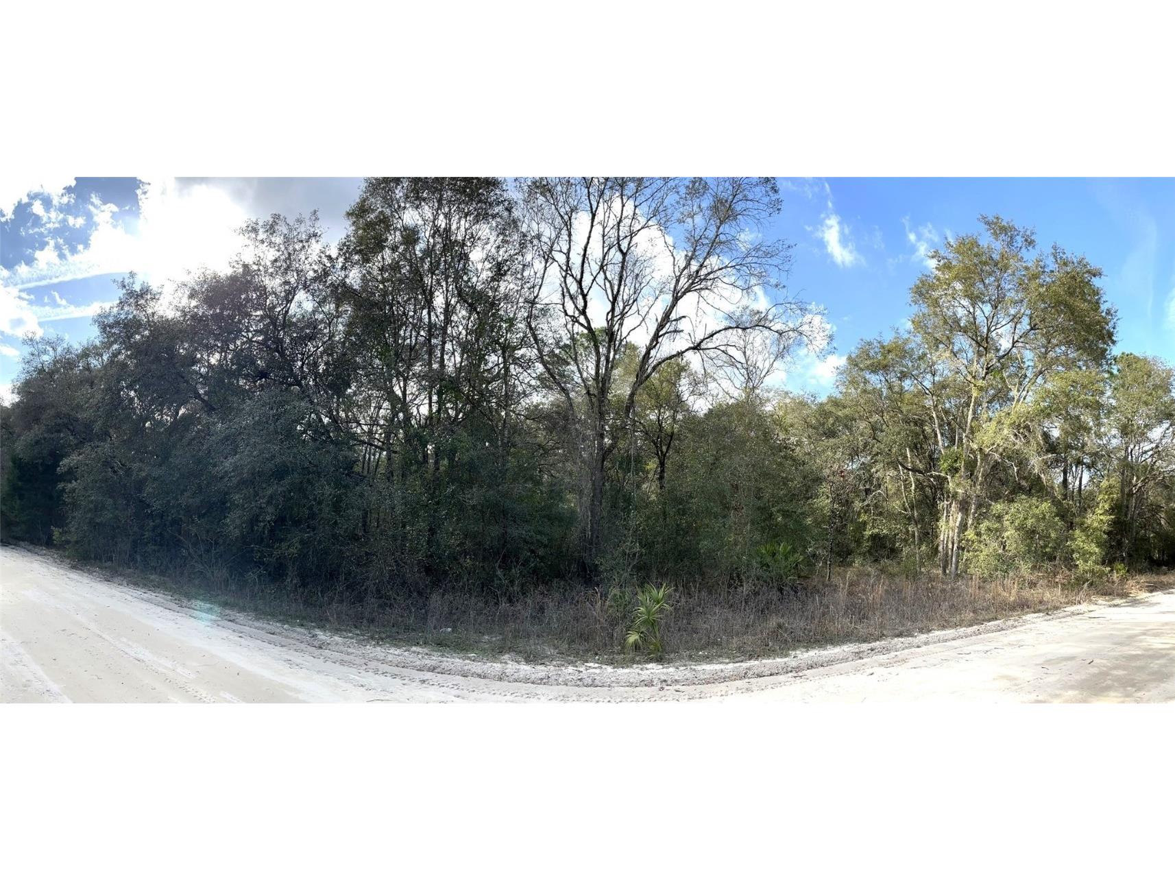 NE 110th Avenue Bronson FL 32621 O6085400 image1