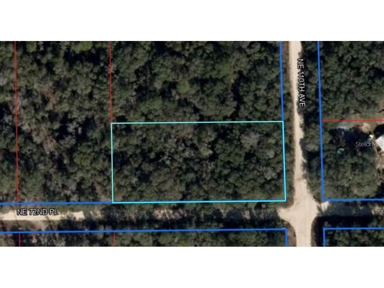 NE 110th Avenue Bronson FL 32621 S5149977 image1