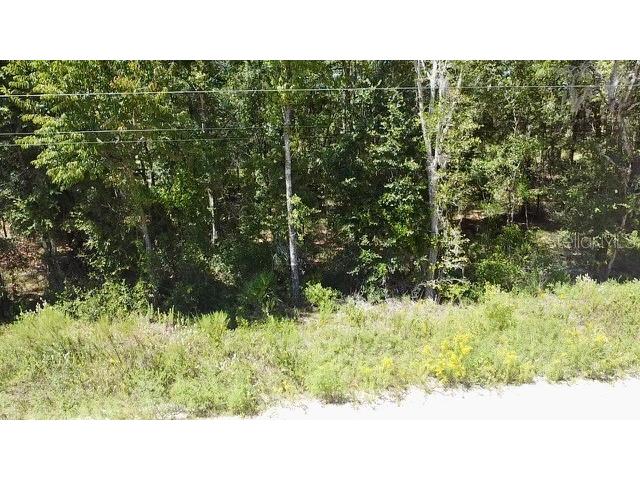 Ne 110th Court Williston FL 32696 O6283507 image1