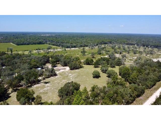 Ne 110th Court Williston FL 32696 O6283507 image10