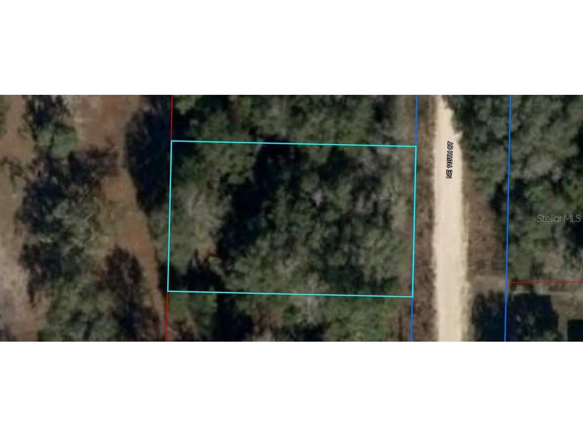 Ne 110th Court Williston FL 32696 O6283507 image3
