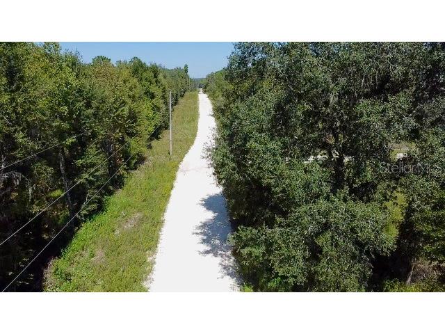 Ne 110th Court Williston FL 32696 O6283507 image5