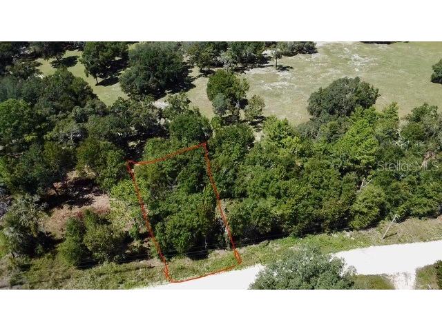 Ne 110th Court Williston FL 32696 O6283507 image9