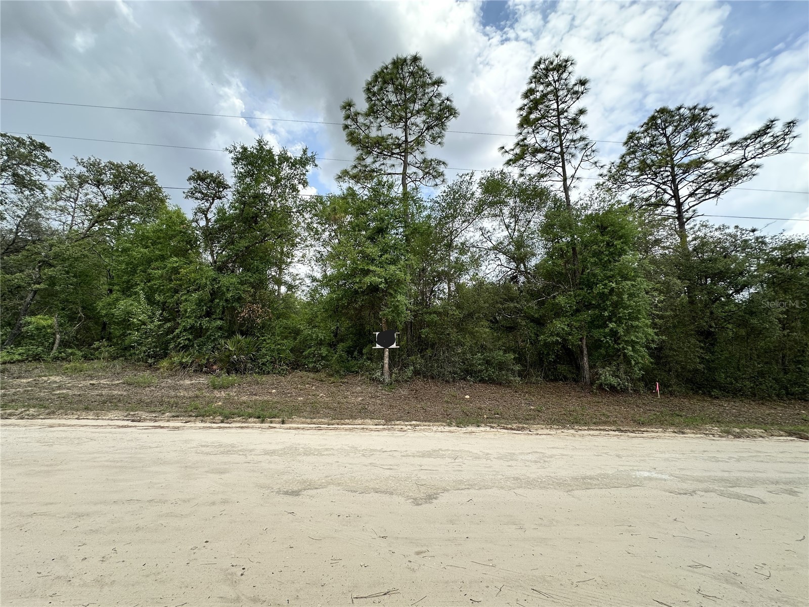 NE 112th Court Archer FL 32618 OM724927 image1