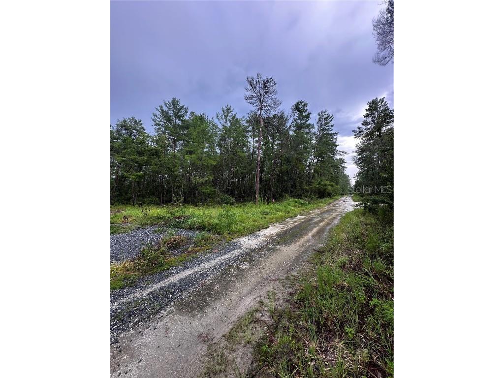 Ne 112th Ct Fort Mc Coy FL 32134 OM706349 image2