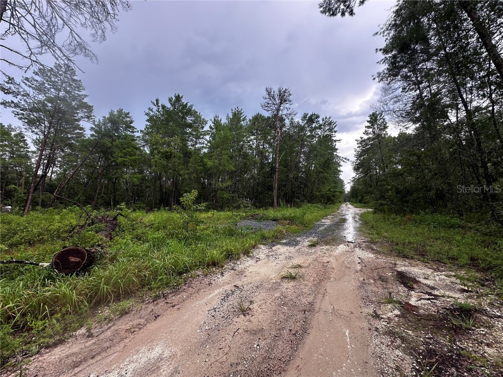 Ne 112th Ct Fort Mc Coy FL 32134 OM706349 image3