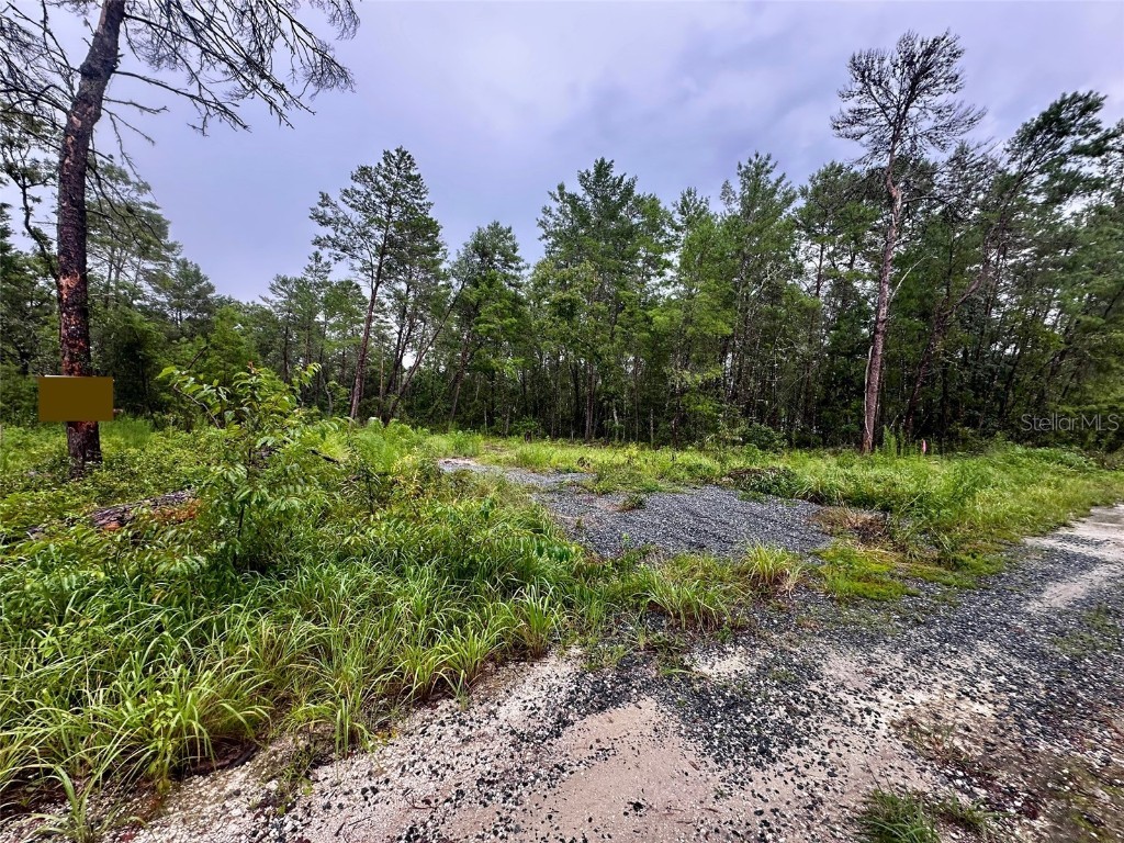 Ne 112th Ct Fort Mc Coy FL 32134 OM706349 image4