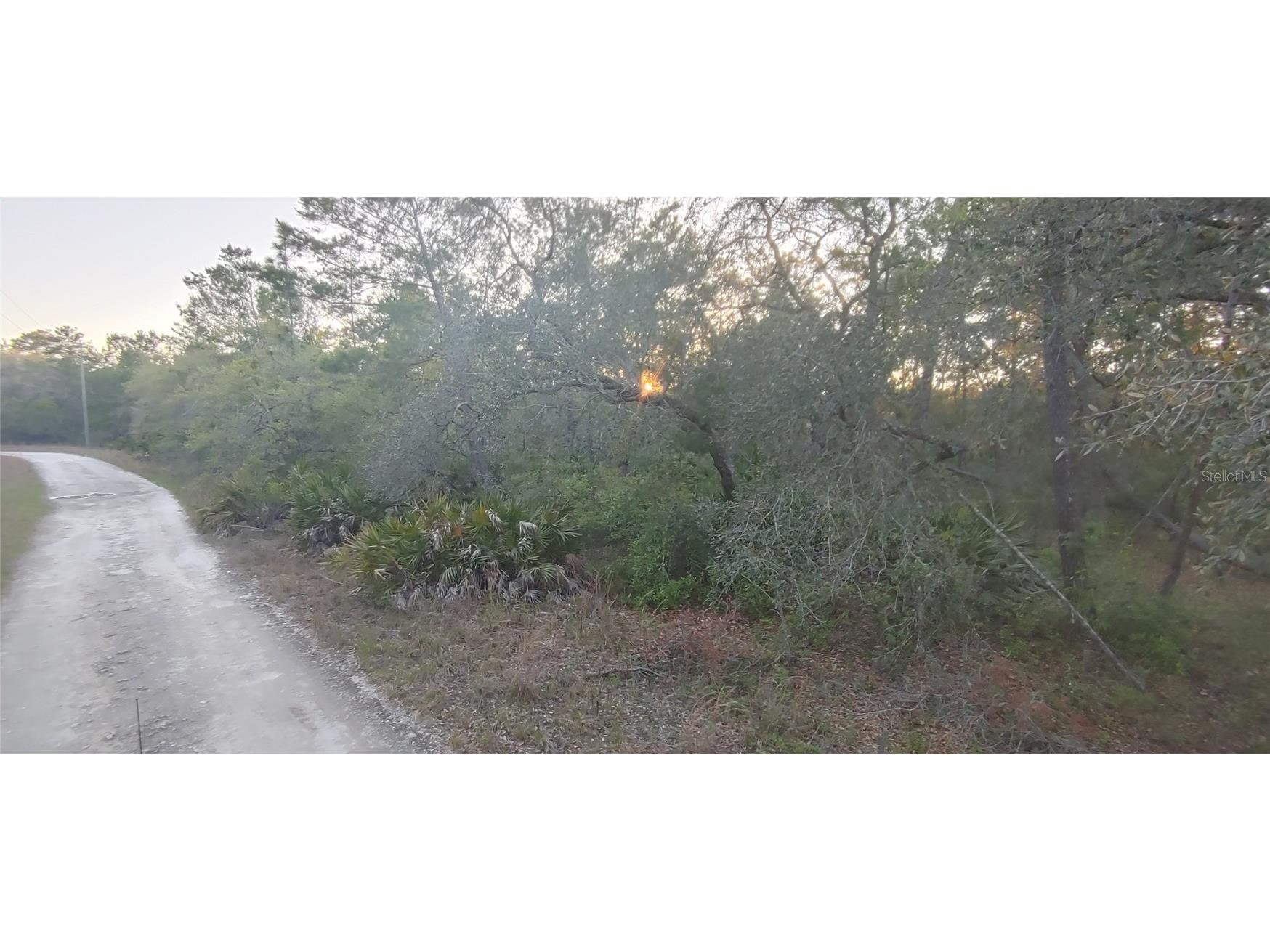 NE 114 Avenue Fort Mc Coy FL 32134 A4606118 image1