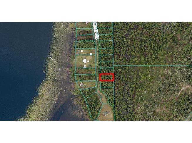 Ne 117th Terrace Fort Mc Coy FL 32134 OM706348 image1