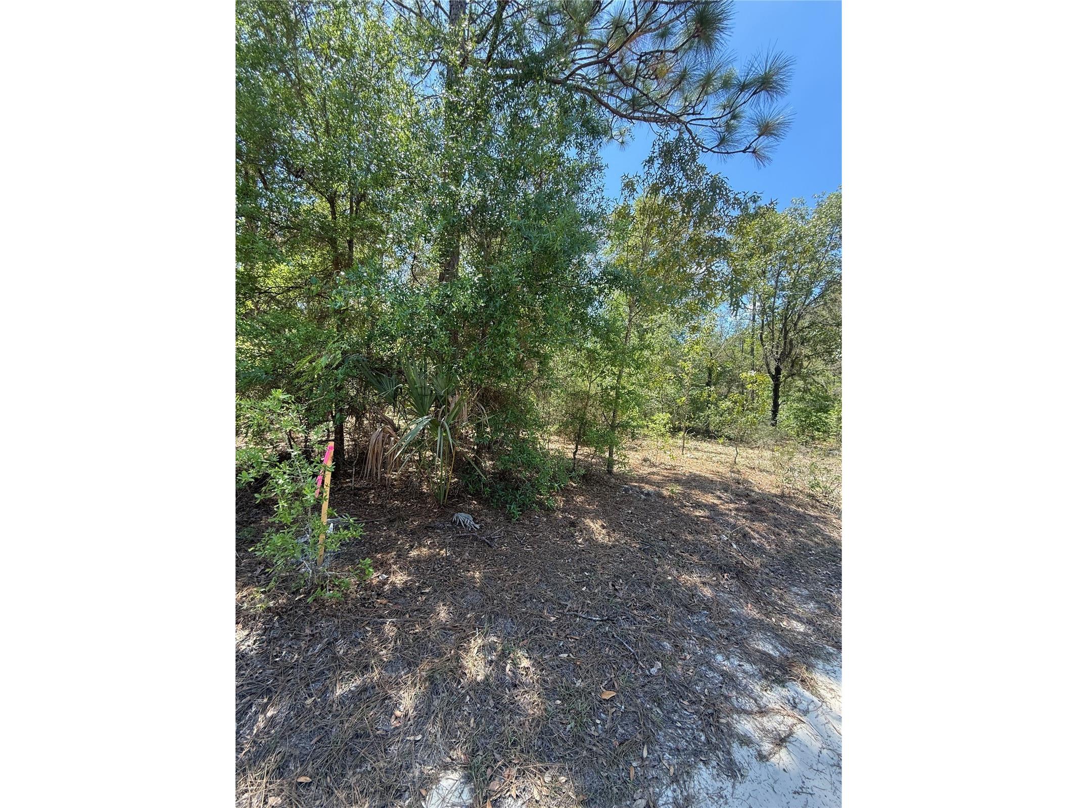 NE 118th Lane Bronson FL 32621 O6399094 image1