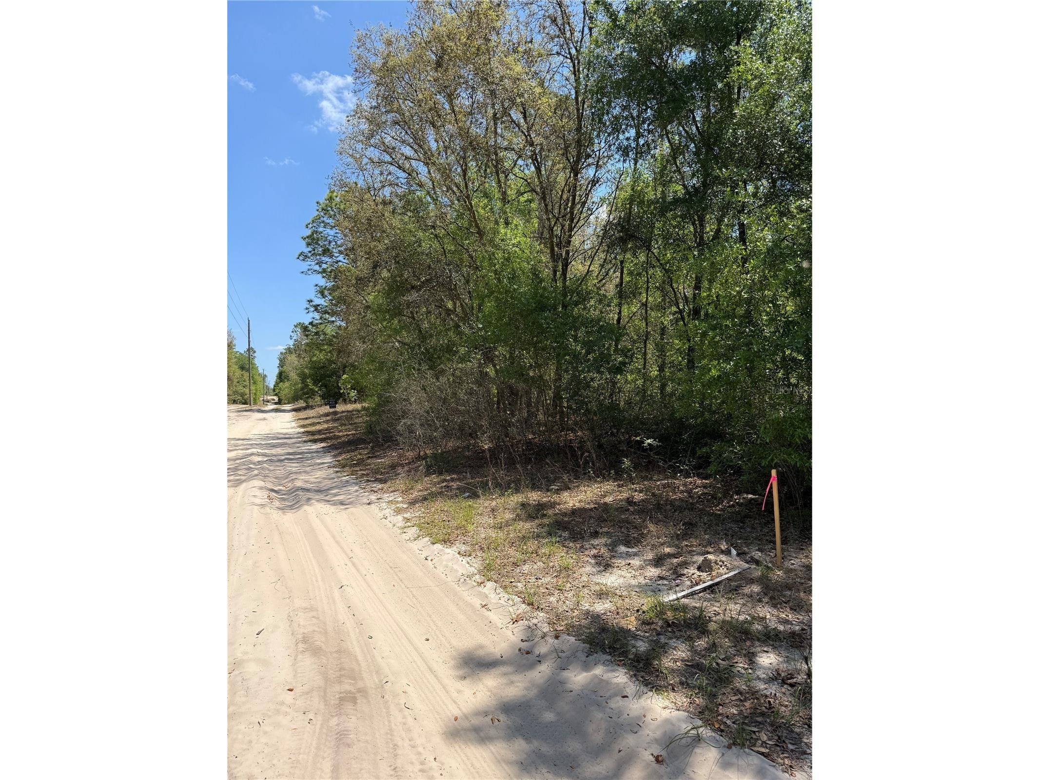 NE 118th Lane Bronson FL 32621 O6399094 image2