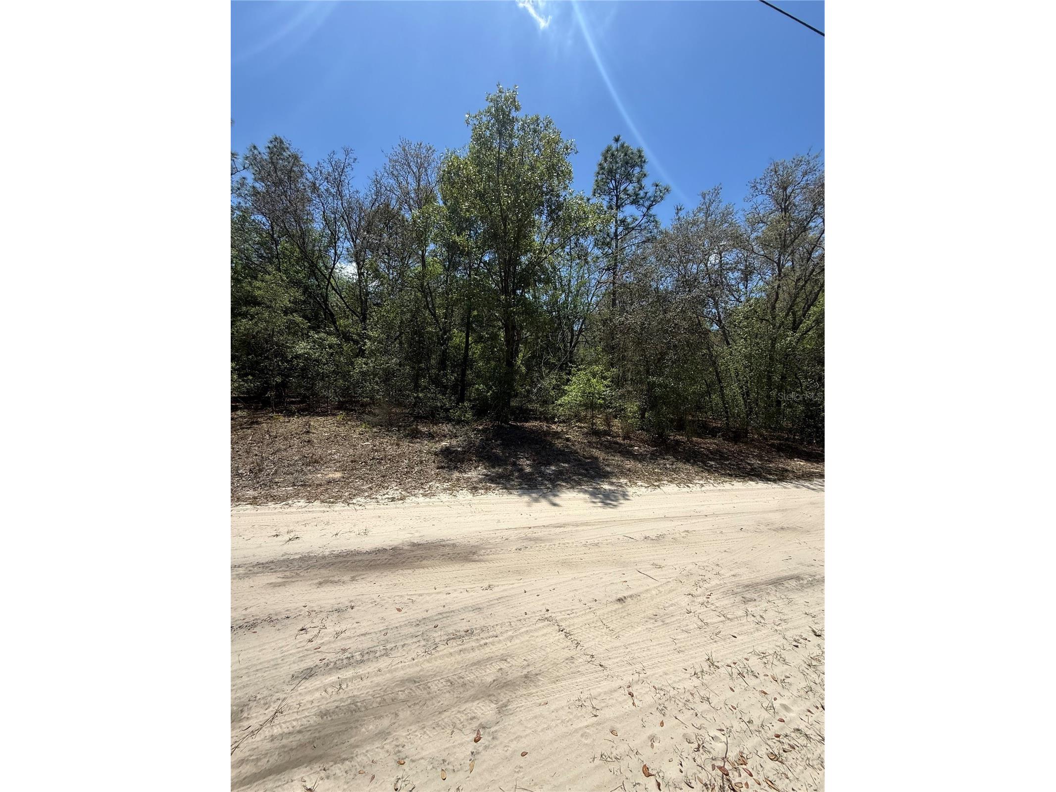 NE 118th Lane Bronson FL 32621 O6399094 image3