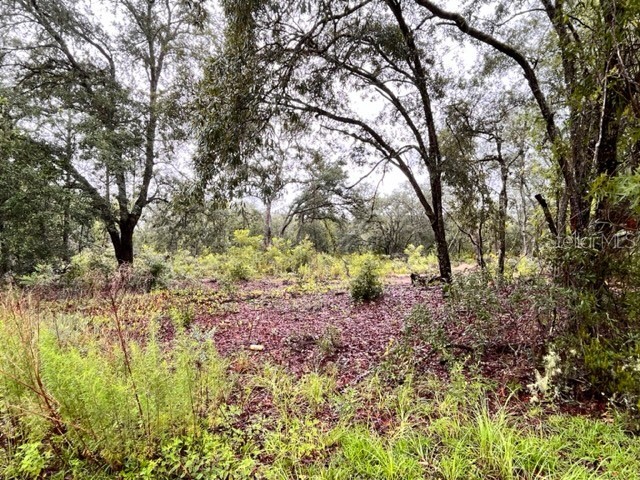 NE 122nd Court Bronson FL 32621 GC514391 image1