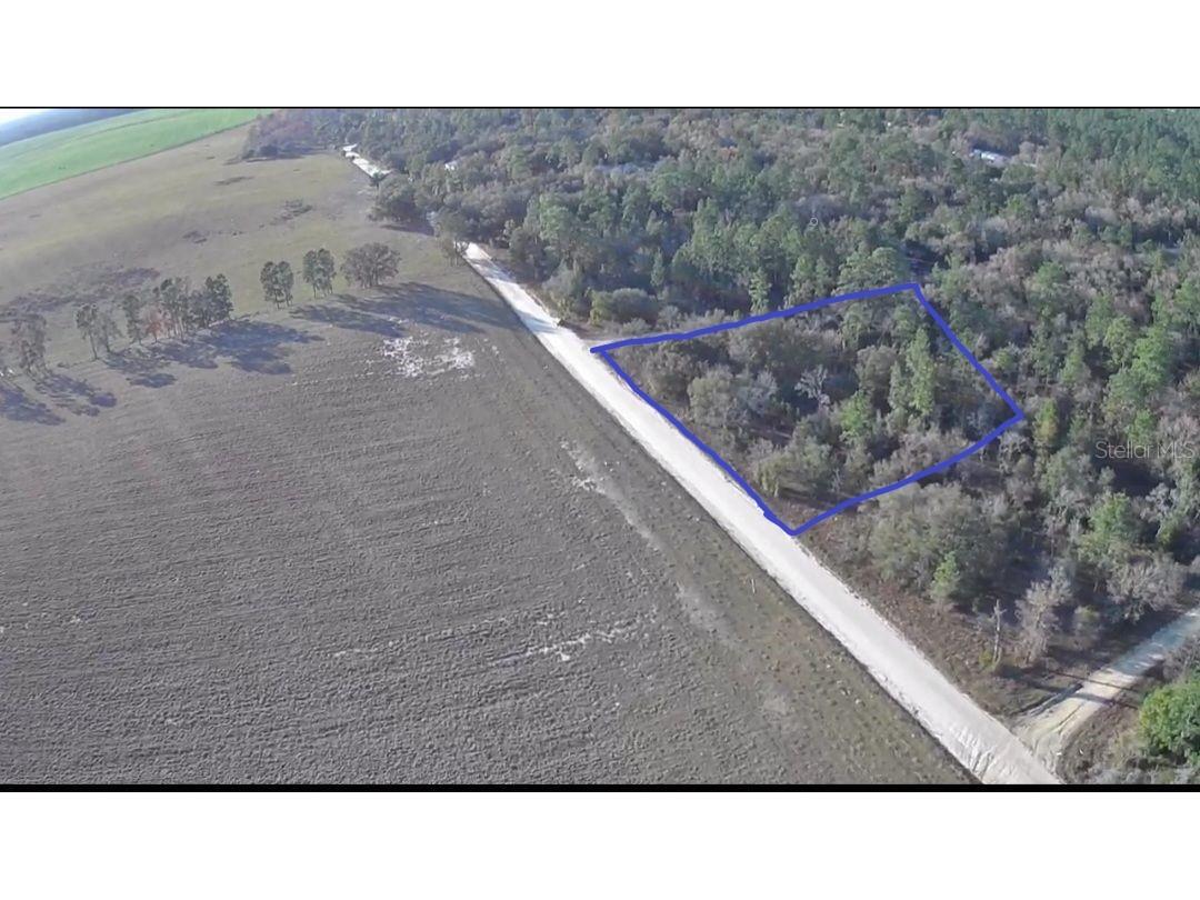 NE 123 Terrace Williston FL 32696 OM662536 image1