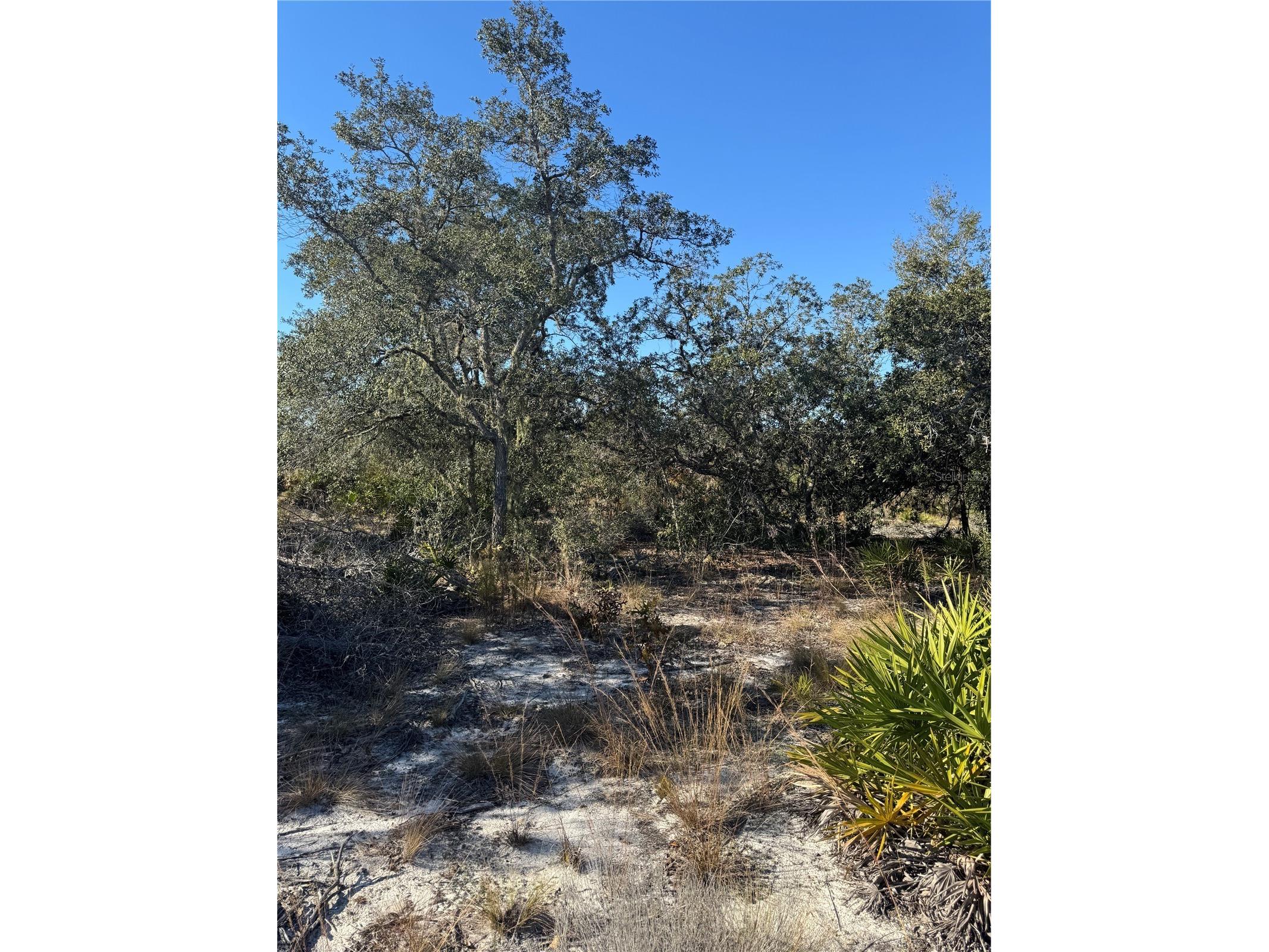 Ne 123rd Ct Archer FL 32618 GC535566 image1