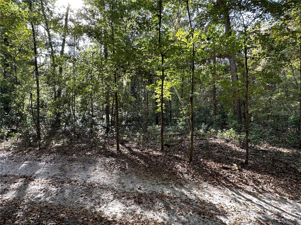 NE 125th Lane Branford FL 32008 GC517372 image1