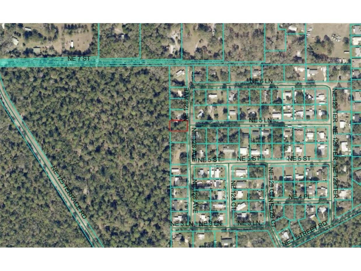 NE 128th Avenue Silver Springs FL 34488 OM711289 image3