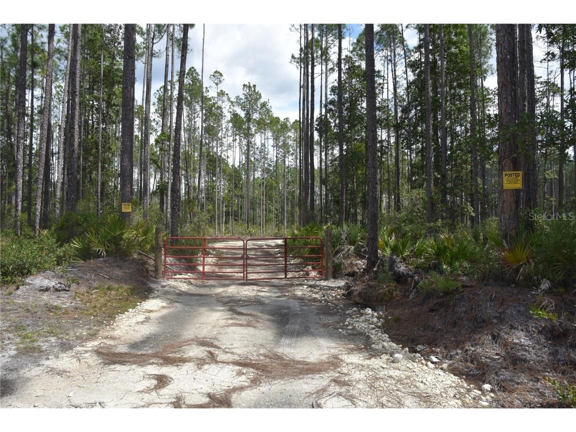 Ne 130th Ave Fort Mc Coy FL 32134 OM691980 image1