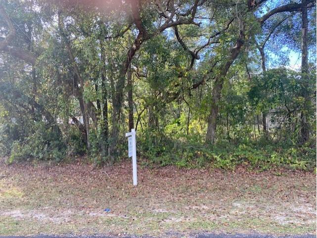 Ne 130th Lane Silver Springs FL 34488 R4908564 image5